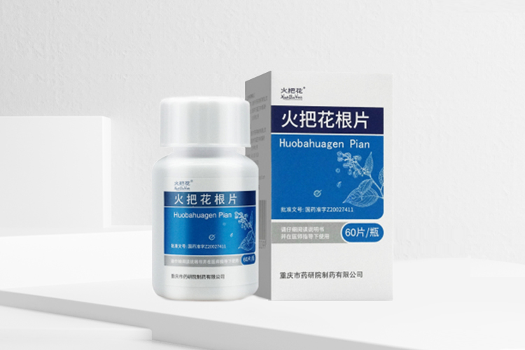 火把花根片